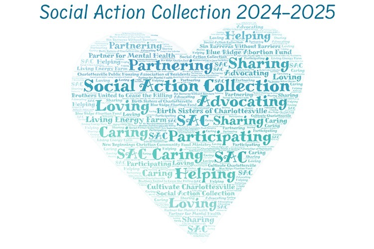 2024-2025 Social Action Collection Applications Being Accepted